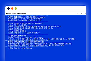 Windows 10 数字权利激活工具自动批处理版 v2020.03.15