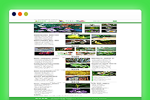 花卉养殖新闻资讯类DeDeCms织梦模板 绿色花草植物网站自适应模板